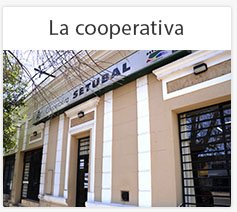 noticias-coop-setubal